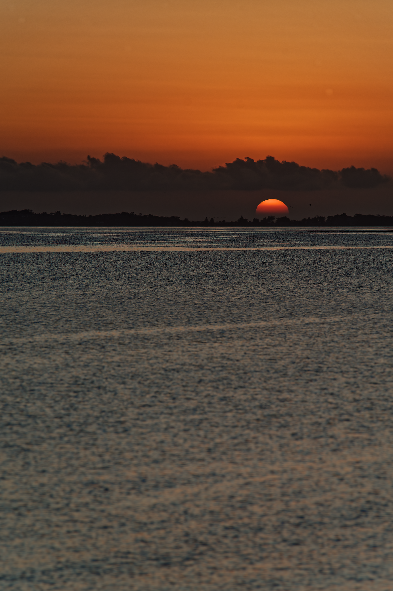 19 February 2023   0294fotosbyme p1